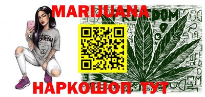 гидра Дубна