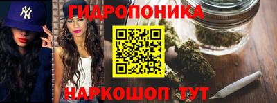 гидра Дубна