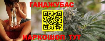 гидра Дубна